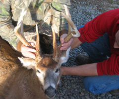 brucebennettbuck06.jpg