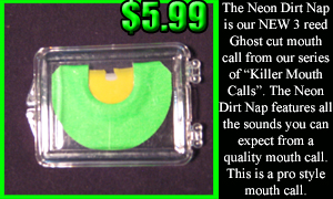 neondirtnap.jpg