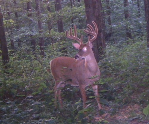 trail11.jpg
