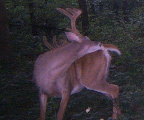 trail12.jpg