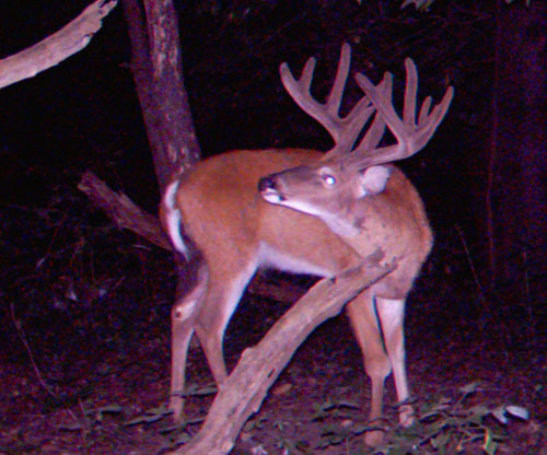 trail13.jpg