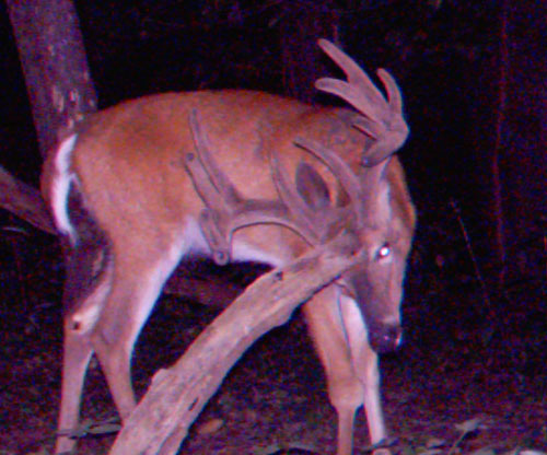 trail15.jpg