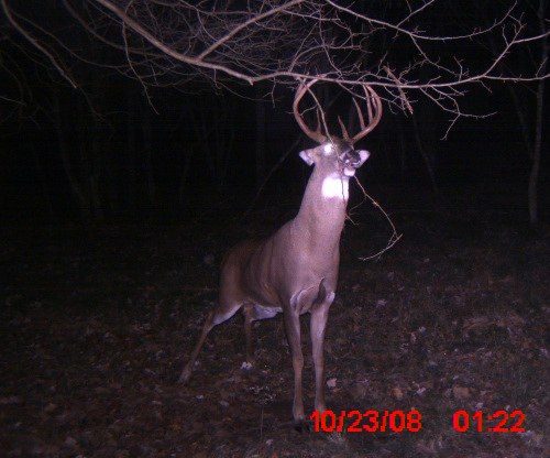 trail26.jpg