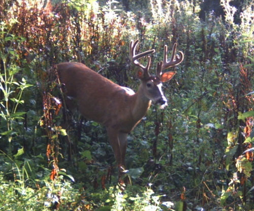 trail3.jpg